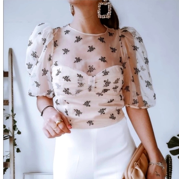 Zara Tops - Zara Organza Pastel Top